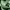 https://res.cloudinary.com/billionhands/image/upload/v1775152677/items/ahwwuf7bfwfbsifx9uib.jpg-1cover