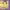 https://res.cloudinary.com/billionhands/image/upload/v1775152678/items/zzmathkl2e8qniurmn5f.jpg-3cover