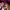 https://res.cloudinary.com/billionhands/image/upload/v1775152680/items/ta9ncj8rezrk9if10ggs.jpg-0cover
