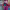 https://res.cloudinary.com/billionhands/image/upload/v1775152722/items/jh3bcnfghrudqlq5nalc.jpg-2cover