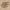 https://res.cloudinary.com/billionhands/image/upload/v1775152725/items/jnegtzzbsfyjqxbbfbva.jpg-1cover