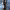 https://res.cloudinary.com/billionhands/image/upload/v1775152974/items/thi67uszjhveamdlwkln.jpg-2cover