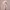 https://res.cloudinary.com/billionhands/image/upload/v1775152986/items/hni1v4sepiozu28u107x.jpg-1cover