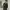 https://res.cloudinary.com/billionhands/image/upload/v1775152986/items/ltkhamndtorfnsgldllx.jpg-2cover