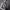 https://res.cloudinary.com/billionhands/image/upload/v1775152986/items/wdmhlpng5omvctq2dczy.jpg-2cover