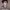 https://res.cloudinary.com/billionhands/image/upload/v1775152986/items/z53bryh2mgsqu2csacum.jpg-2cover