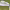 https://res.cloudinary.com/billionhands/image/upload/v1775152989/items/dp4954sawmjqpstlcniy.webp-0cover