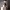https://res.cloudinary.com/billionhands/image/upload/v1775152990/items/ysdyknjnexvcrjd7t42z.jpg-1cover