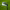 https://res.cloudinary.com/billionhands/image/upload/v1775152993/items/mxrxh2wahxpswnwtchgw.avif-3cover