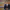 https://res.cloudinary.com/billionhands/image/upload/v1775153042/items/hwyvlsev6lmqdigeneuq.avif-2cover