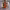 https://res.cloudinary.com/billionhands/image/upload/v1775153096/items/trlecng46mudky8vnf9s.jpg-2cover