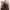 https://res.cloudinary.com/billionhands/image/upload/v1775153257/items/qg6dx8zfc2aumnyhcksp.webp-1cover