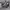 https://res.cloudinary.com/billionhands/image/upload/v1775153276/items/tlynovepctef5wpkgikr.jpg-2cover
