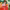https://res.cloudinary.com/billionhands/image/upload/v1775153385/items/arnhg5dr6o8vrwprbjlz.webp-3cover