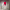 https://res.cloudinary.com/billionhands/image/upload/v1775153548/items/cqjavvx9t6miwzx7zkdg.webp-2cover