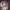 https://res.cloudinary.com/billionhands/image/upload/v1775153609/items/k2iydqofmpl2zuq5havh.jpg-3cover