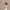 https://res.cloudinary.com/billionhands/image/upload/v1775153710/items/k7j8bwetqdmfgaxm0nsj.webp-3cover