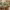 https://res.cloudinary.com/billionhands/image/upload/v1775153761/items/gpgdt6i9tweew8owoywm.png-1cover