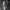https://res.cloudinary.com/billionhands/image/upload/v1775153797/items/cmzyx0vj85upru7v8fqu.webp-3cover