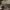 https://res.cloudinary.com/billionhands/image/upload/v1775153942/items/g479n7loh0zgwygs7xxt.jpg-2cover