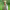 https://res.cloudinary.com/billionhands/image/upload/v1775154369/items/psav1r3goquimk2raxkd.jpg-1cover