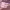 https://res.cloudinary.com/billionhands/image/upload/v1775154416/items/gvh967yriaurvc7yop1v.webp-3cover