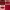 Sephora Collection Cream Lip Stain in 01 Always Red cover