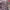 https://res.cloudinary.com/billionhands/image/upload/v1775154886/items/avunnlvfvhwexzuhdhu6.webp-2cover
