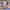 https://res.cloudinary.com/billionhands/image/upload/v1775154887/items/iyzbvixwtfkkxt5hjr5r.jpg-3cover