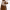 https://res.cloudinary.com/billionhands/image/upload/v1775154949/items/eirewotvmyrolcql9znb.webp-2cover