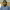 https://res.cloudinary.com/billionhands/image/upload/v1775154987/items/qa28bfmrjafstnxupaov.png-1cover