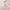 https://res.cloudinary.com/billionhands/image/upload/v1775155053/items/z4vj76wnwlzmdesr6qis.jpg-1cover