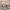 https://res.cloudinary.com/billionhands/image/upload/v1775155056/items/kt2avklkxtovtc2shuya.webp-3cover