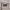 https://res.cloudinary.com/billionhands/image/upload/v1775155056/items/l27wgyts5ufrxdvv2gpr.avif-2cover