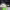 https://res.cloudinary.com/billionhands/image/upload/v1775155060/items/vbrxl4p1uqhjhpfwvsxg.webp-1cover