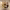 https://res.cloudinary.com/billionhands/image/upload/v1775155094/items/gbyiq4lh2q5nsfeu72jl.jpg-1cover