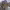 https://res.cloudinary.com/billionhands/image/upload/v1775155264/items/zxehf3fcsiyfx9iuvikp.webp-1cover