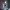 https://res.cloudinary.com/billionhands/image/upload/v1775155433/items/ngw7jkpxbjlyqetqcusj.avif-2cover