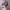 https://res.cloudinary.com/billionhands/image/upload/v1775155472/items/rlilpanhf0ydndkjcho5.avif-0cover