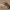 https://res.cloudinary.com/billionhands/image/upload/v1775155728/items/comldmwise4ki7d0sbkm.jpg-2cover