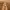 https://res.cloudinary.com/billionhands/image/upload/v1775155729/items/ksqs3lslg0bmwxzfmsaf.jpg-1cover