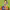 https://res.cloudinary.com/billionhands/image/upload/v1775155791/items/dkatpash0latljcsocnv.jpg-0cover