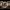 https://res.cloudinary.com/billionhands/image/upload/v1775155878/items/ppygbksgnmddff9fn8gi.jpg-0cover