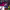 https://res.cloudinary.com/billionhands/image/upload/v1775155963/items/mfhe8bqskzbmpyuycx18.webp-3cover