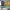 https://res.cloudinary.com/billionhands/image/upload/v1775156318/items/t8aoemjenx7kbskmilp3.webp-0cover