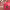 https://res.cloudinary.com/billionhands/image/upload/v1775156912/items/isrtyytrdaphfthrh6nf.png-1cover