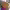 https://res.cloudinary.com/billionhands/image/upload/v1775156918/items/cggonded7dpykgzuiymb.jpg-0cover
