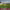 https://res.cloudinary.com/billionhands/image/upload/v1775157646/items/b23maknwesndyvw3vhob.jpg-1cover