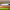 https://res.cloudinary.com/billionhands/image/upload/v1775157654/items/oi7mjccjhwyayexktbef.jpg-1cover