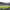 https://res.cloudinary.com/billionhands/image/upload/v1775157655/items/xtwsiiwnrqjgoobzwcfk.jpg-2cover
